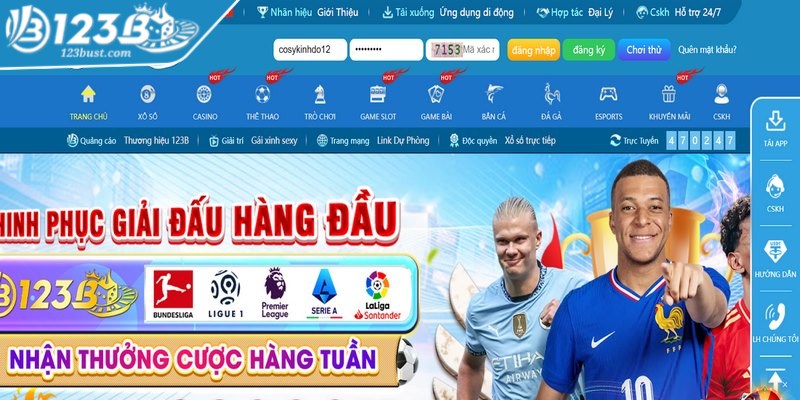 Hệ thống cung cấp hướng dẫn chi tiết về tất cả các điều khoản